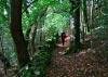 New Precipice Walk, Llanelltyd, Wales