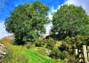 New Precipice Walk, Llanelltyd, Wales