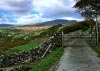 New Precipice Walk, Llanelltyd, Wales