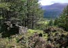 New Precipice Walk, Llanelltyd, Wales