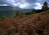 New Precipice Walk, Llanelltyd, Wales