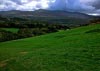 New Precipice Walk, Llanelltyd, Wales