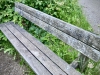 Return to Carsington Water, Derbyshire [11/06/2024]