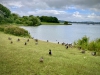 Carsington Water, Derbyshire [09/06/2024]