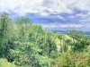 Crich Tramway Village, Matlock [12/06/2024]