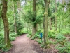 Woodland Walk, Darwin Forest Lodges, Derbyshire [17/06/2024]