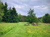 Woodland Walk, Darwin Forest Lodges, Derbyshire [17/06/2024]