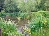 Woodland Walk, Darwin Forest Lodges, Derbyshire [17/06/2024]