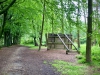 Woodland Walk, Darwin Forest Lodges, Derbyshire [17/06/2024]