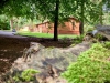 Woodland Walk, Darwin Forest Lodges, Derbyshire [17/06/2024]