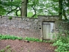 Ilam Park National Trust, Ashbourne [07/06/2024]