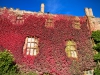Powis Castle, Welshpool [06/10/2025]