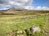 Ravenglass Railway & Dalegarth Hike [02/09/2023]