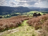 Ravenglass Railway & Dalegarth Hike [02/09/2023]