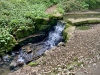 Scarborough North Bay & Peasholm Park [11/05/2024]