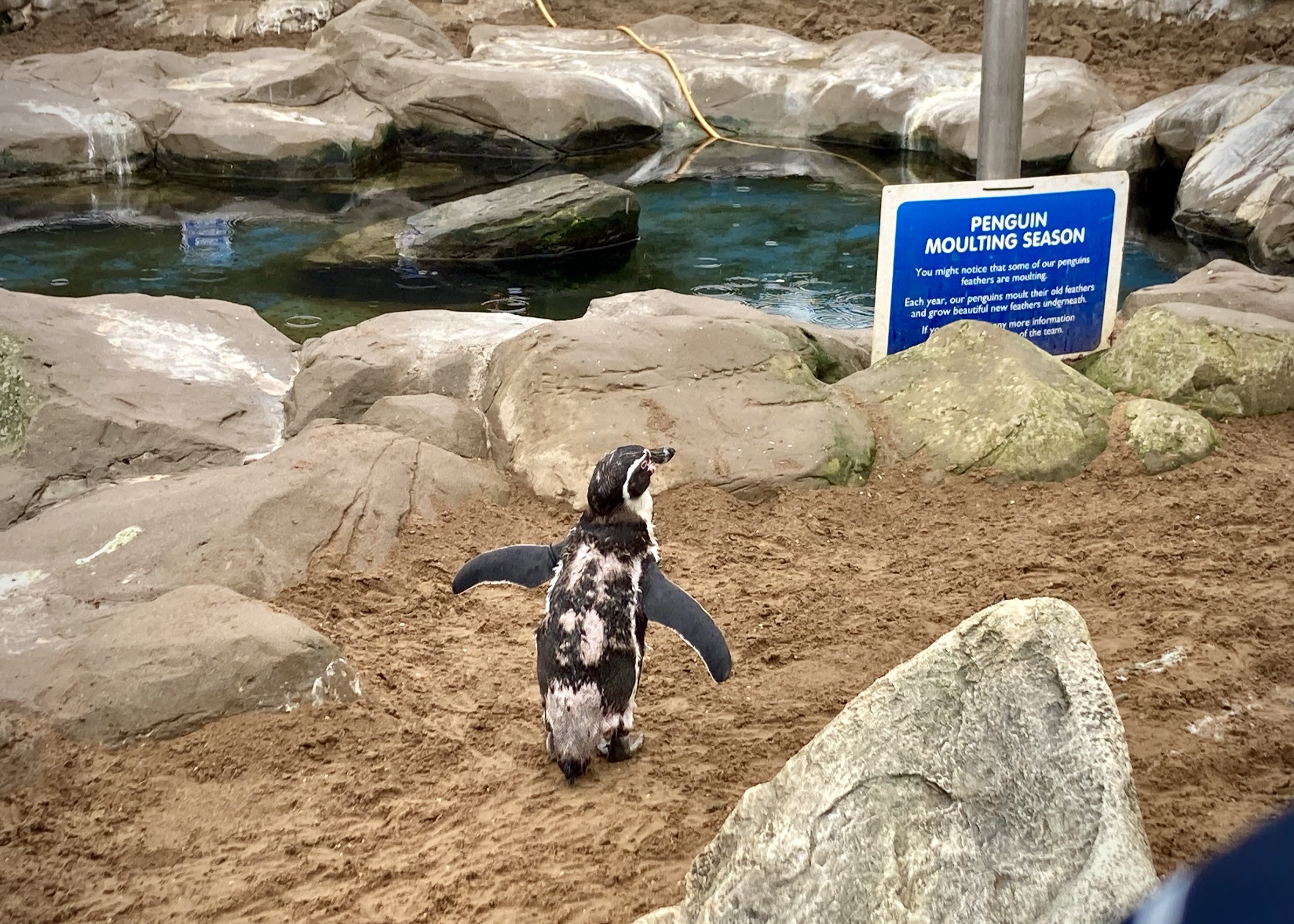 Scarborough Sea Life Centre, North Yorkshire