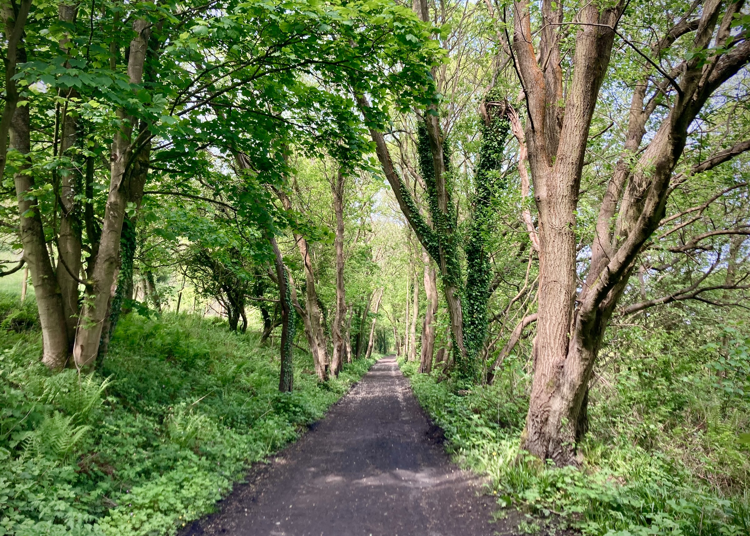 The Cinder Track, North Yorkshire