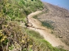 Walking The Cinder Track, Cloughton [12/05/2024]