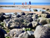 Seascale Beach [25/08/2019]