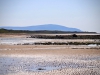 Seascale Beach [25/08/2019]