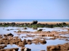 Seascale Beach [25/08/2019]