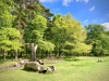 Attingham Park, Shropshire [12/05/2023]