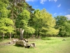 Attingham Park, Shropshire [12/05/2023]