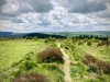 Bury Ditches, Shropshire [17/05/2023]