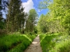 Bury Ditches, Shropshire [17/05/2023]