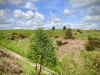 Bury Ditches, Shropshire [17/05/2023]