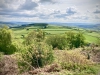 Bury Ditches, Shropshire [17/05/2023]