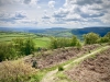 Bury Ditches, Shropshire [17/05/2023]