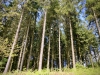 Bury Ditches, Shropshire [17/05/2023]