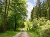 Bury Ditches, Shropshire [17/05/2023]