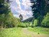 Bury Ditches, Shropshire [17/05/2023]