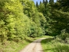 Bury Ditches, Shropshire [17/05/2023]