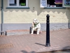 Ironbridge, Shropshire [16/05/2023]