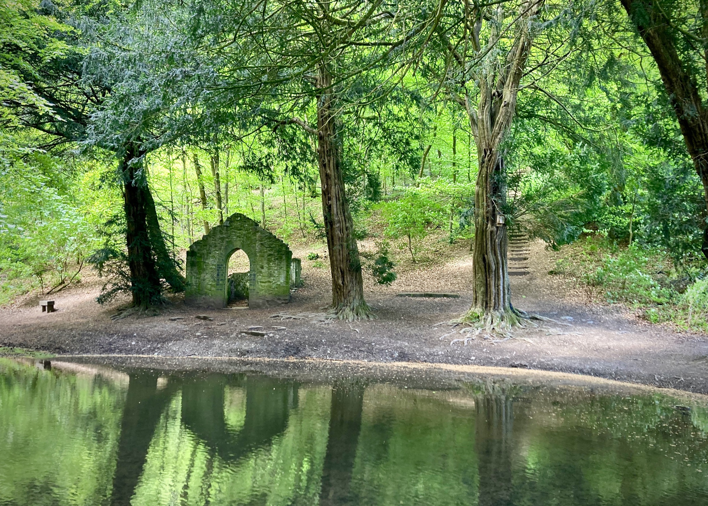 Rectory Wood, Church Stretton, Shropshire