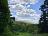 Rectory Wood, Church Stretton, Shropshire [15/05/2023]