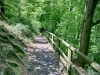 Rectory Wood, Church Stretton, Shropshire [15/05/2023]