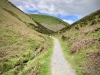 Rectory Wood, Church Stretton, Shropshire [15/05/2023]