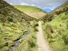 Rectory Wood, Church Stretton, Shropshire [15/05/2023]