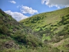 Rectory Wood, Church Stretton, Shropshire [15/05/2023]