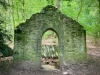 Rectory Wood, Church Stretton, Shropshire [15/05/2023]