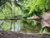 Rectory Wood, Church Stretton, Shropshire [15/05/2023]