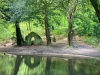 Rectory Wood, Church Stretton, Shropshire [15/05/2023]