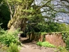 Rectory Wood, Church Stretton, Shropshire [15/05/2023]