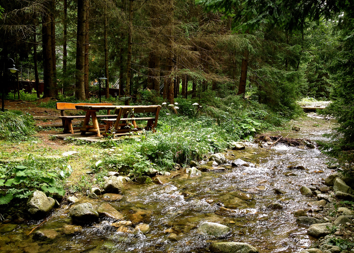 Woodland bench - Zuberec, Slovakia