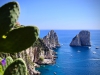 Capri Walking Tour [11/10/2019]