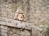 Herculaneum Walking Tour [16/10/2019]